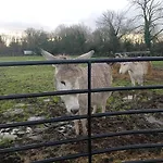 Historic Old Co Mayo * Ballinrobe