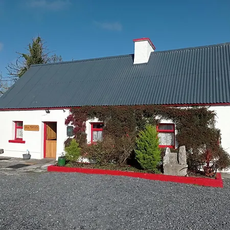 Historic Old Co Mayo Semesterbostad *