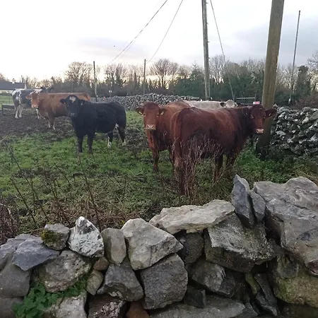 Semesterbostad Historic Old Co Mayo *