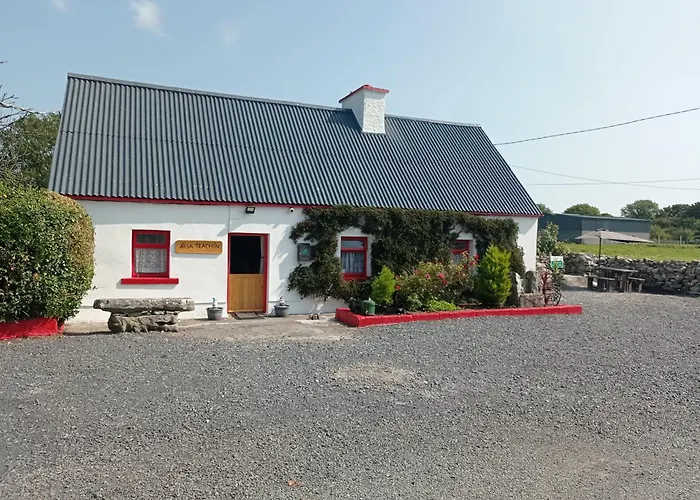 Traditional Co Mayo
