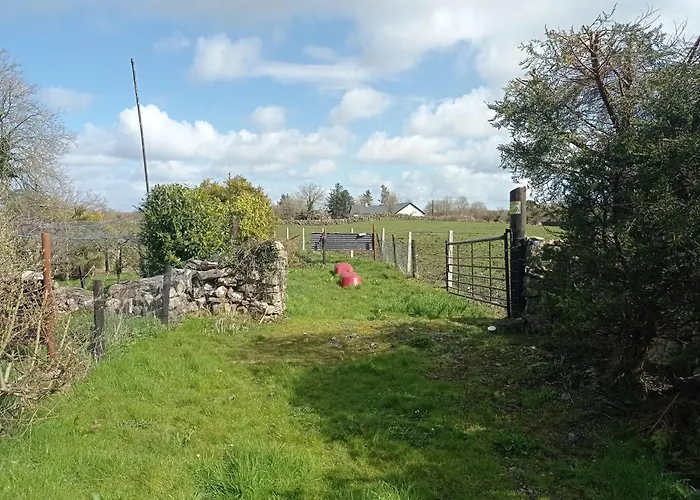 Traditional Co Mayo
